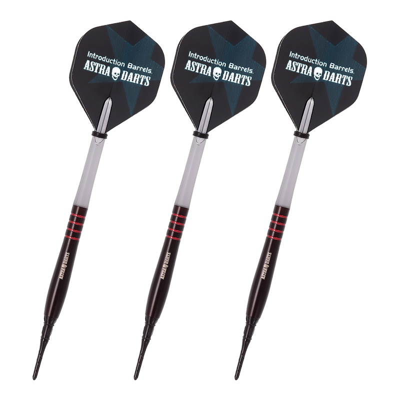 Dynasty Rakkaus 2BA 粕谷晋選手モデル アストラダーツ Rakkaus ラッカウス 2BA16.5g 粕谷晋選手 ダーツ バレル