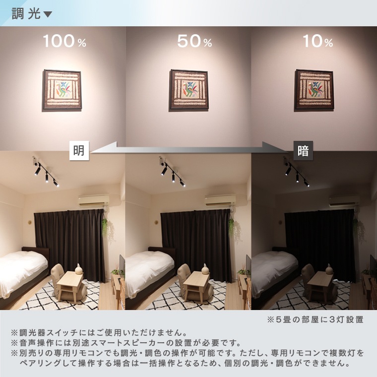 エジソンスマート ミニスポットライト ブラック ダクトレール用 RST