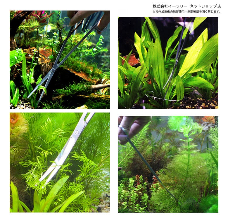 ADA 水草 メンテナンス トリミング セット 11点＋1→10点+1