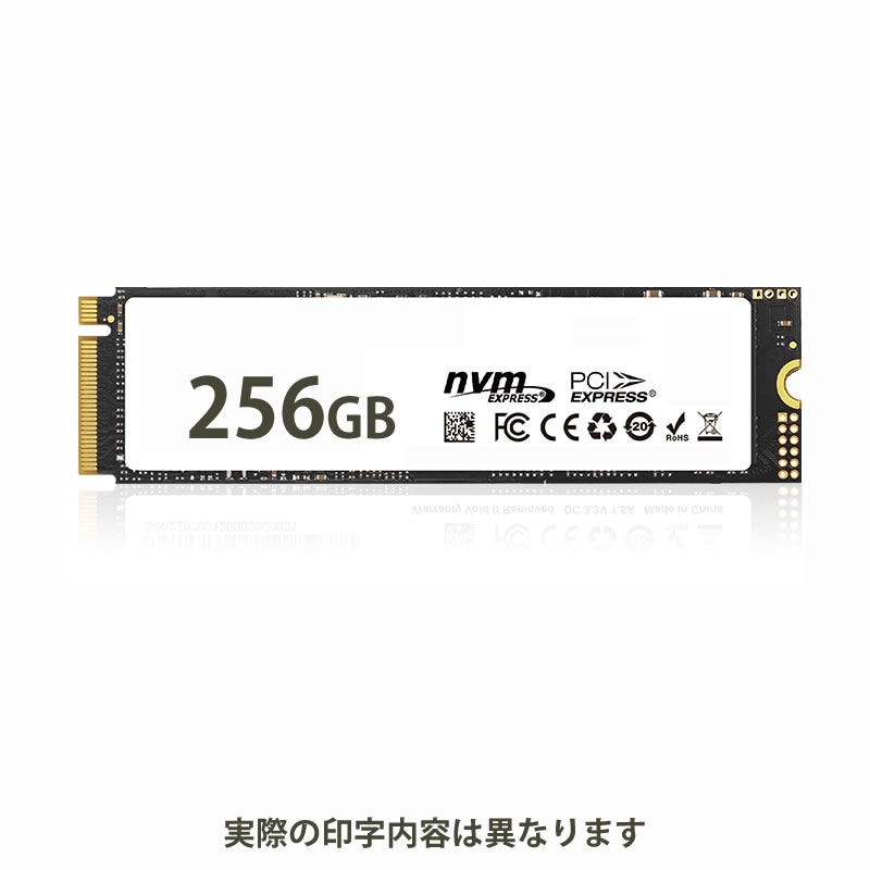 HIDISC NVMe SSD 256GB R3000 W1300 HDJ500G3-256NVM | SSD,M.2,PCI