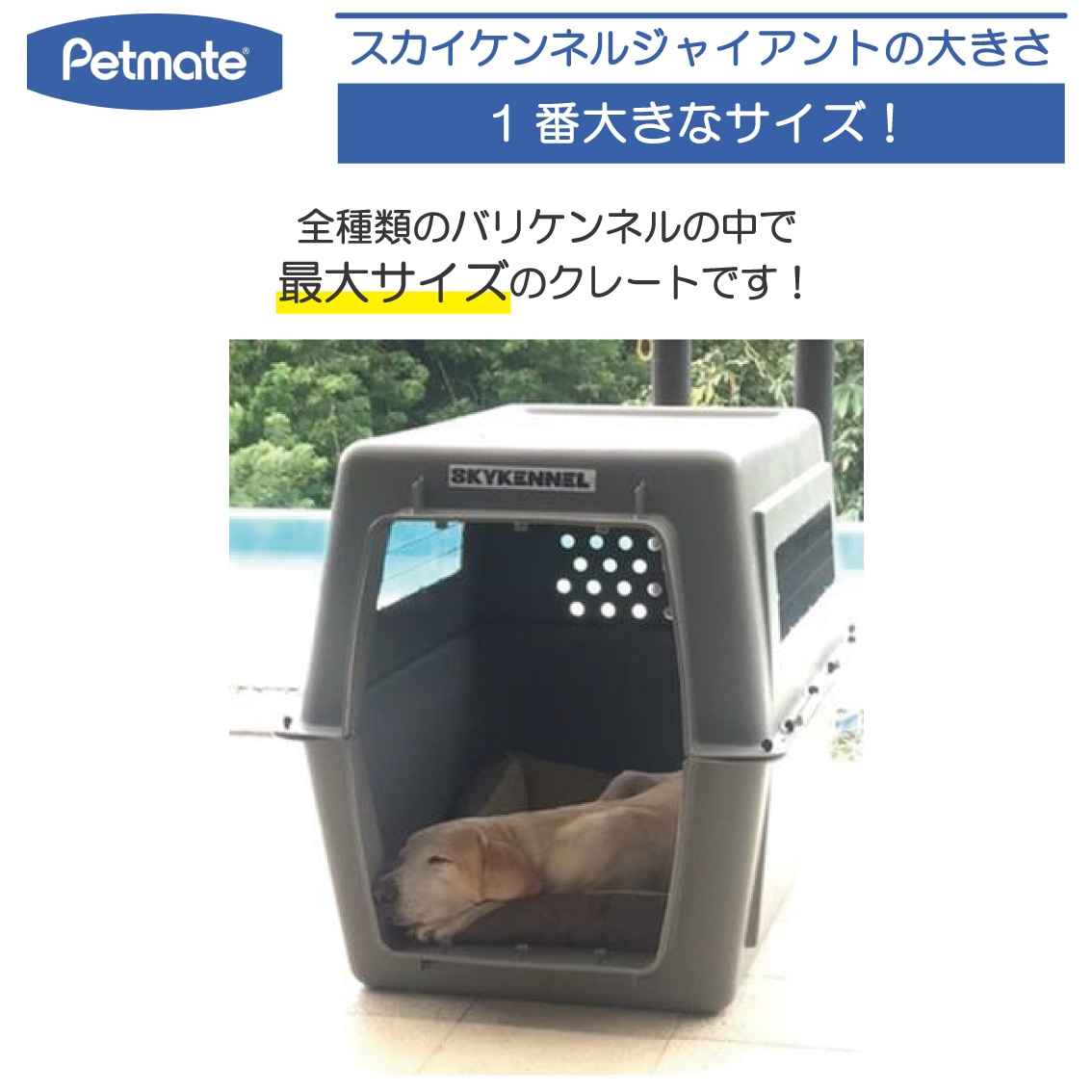 Petmate スカイケンネル Gサイズ | Dog,クレート・キャリー,大型犬用