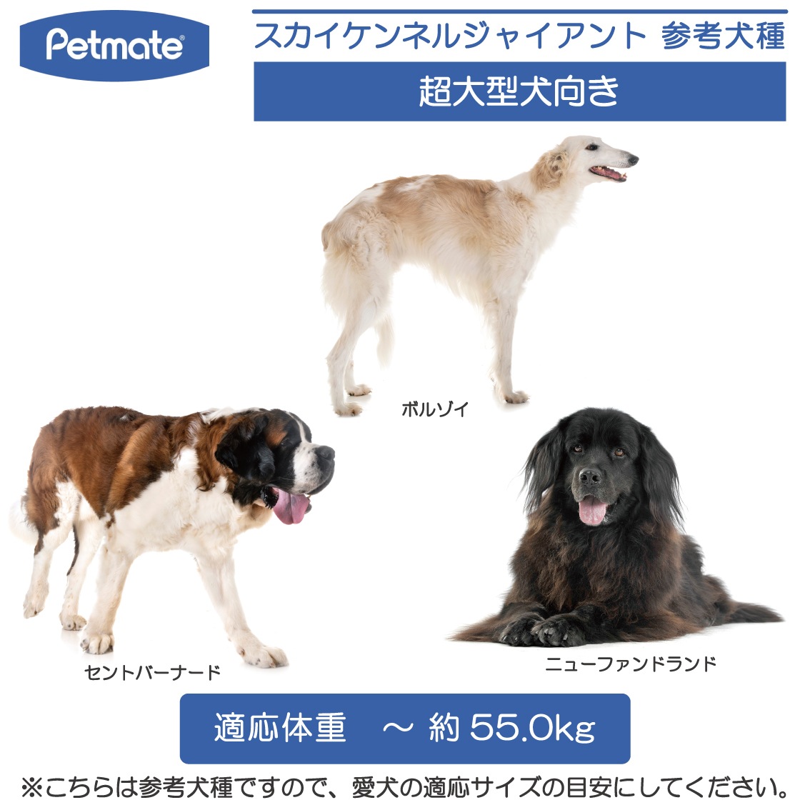 Petmate スカイケンネル Gサイズ | Dog,クレート・キャリー,大型犬用