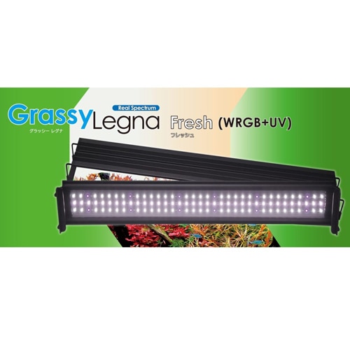 ボルクスジャパン グラッシーレグナ 60 フレッシュ (WRGB+UV) 水草
