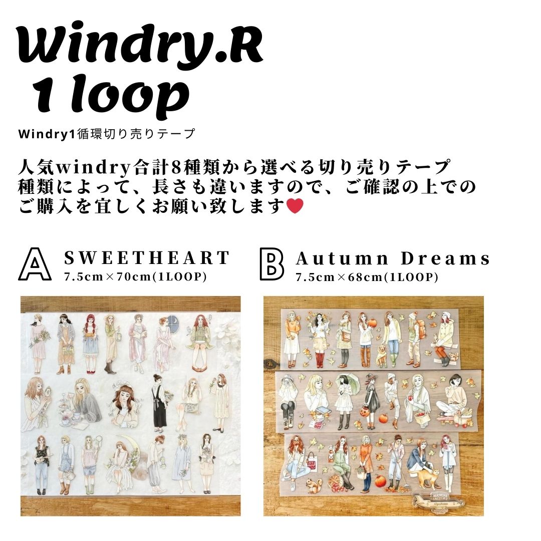 TW 台湾マステ 1ループ 切り売りセット 海外マステ