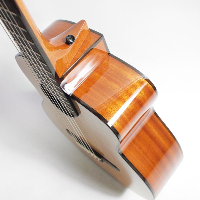 aNueNue Bird Guitar Series aNN-MN14 ナイロン弦モデル〈アヌエヌエ