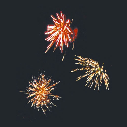 菊花牡丹 No2500 | 打ち上げ花火 | eはなびやさん│圧倒的な品揃え