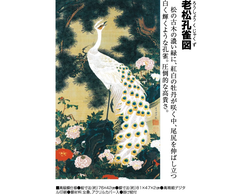 伊藤若冲 動植綵絵 老松孔雀図 高級仕様 額 美術品 インテリア 作品