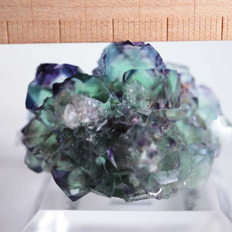 オコルス フローライト 蛍石 鉱物標本 449 【公式通販】