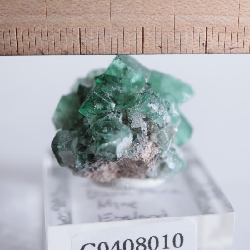 Diana Maria鉱山 フローライト fluorite 鉱物 鉱物標本 原石 【公式通販】