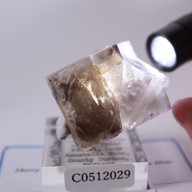 412 イギリス シェリーツインズ フローライト Sherry Twins Pocket