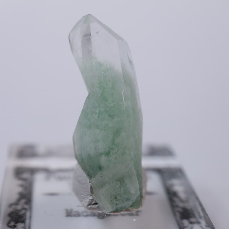 マダガスカル産 フックサイトインクォーツ | 鉱物標本,カ行,クォーツ