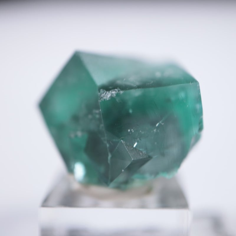 レディアナベラ鉱山 フローライト | 鉱物標本,ハ行,フローライト/蛍石