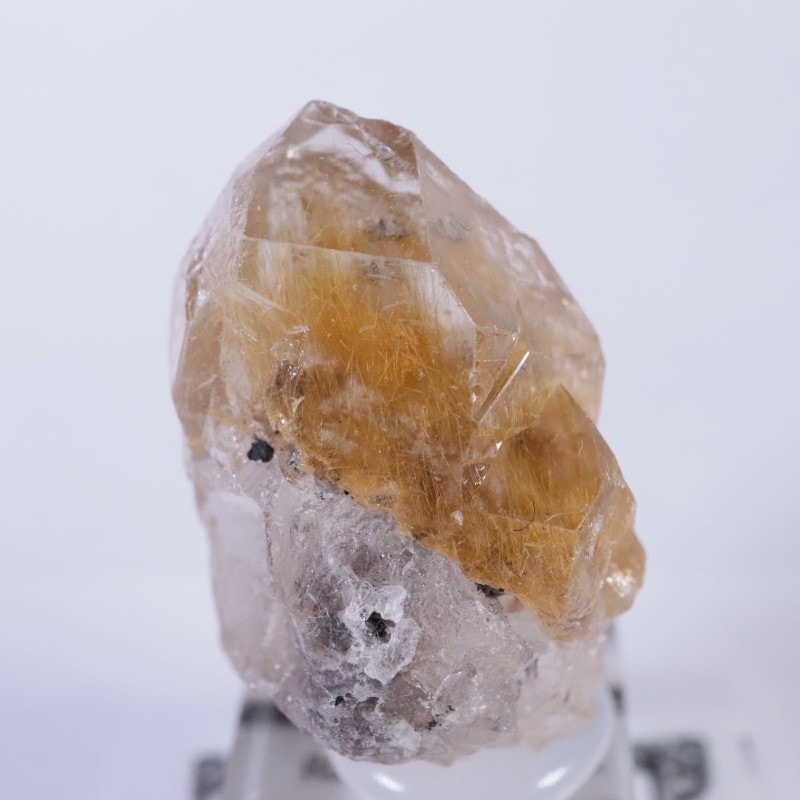 ブラジル産 ルチルクォーツ | 鉱物標本,カ行,クォーツ/水晶 | ほたるみ