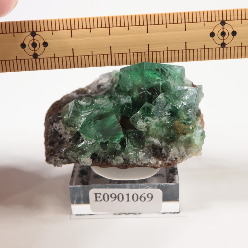 イギリス産 フローライト | 鉱物標本,ハ行,フローライト/蛍石,フロー