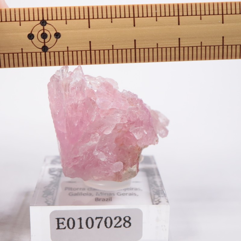 ブラジル産 ローズクォーツ | 鉱物標本,カ行,クォーツ/水晶 | ほたるみ