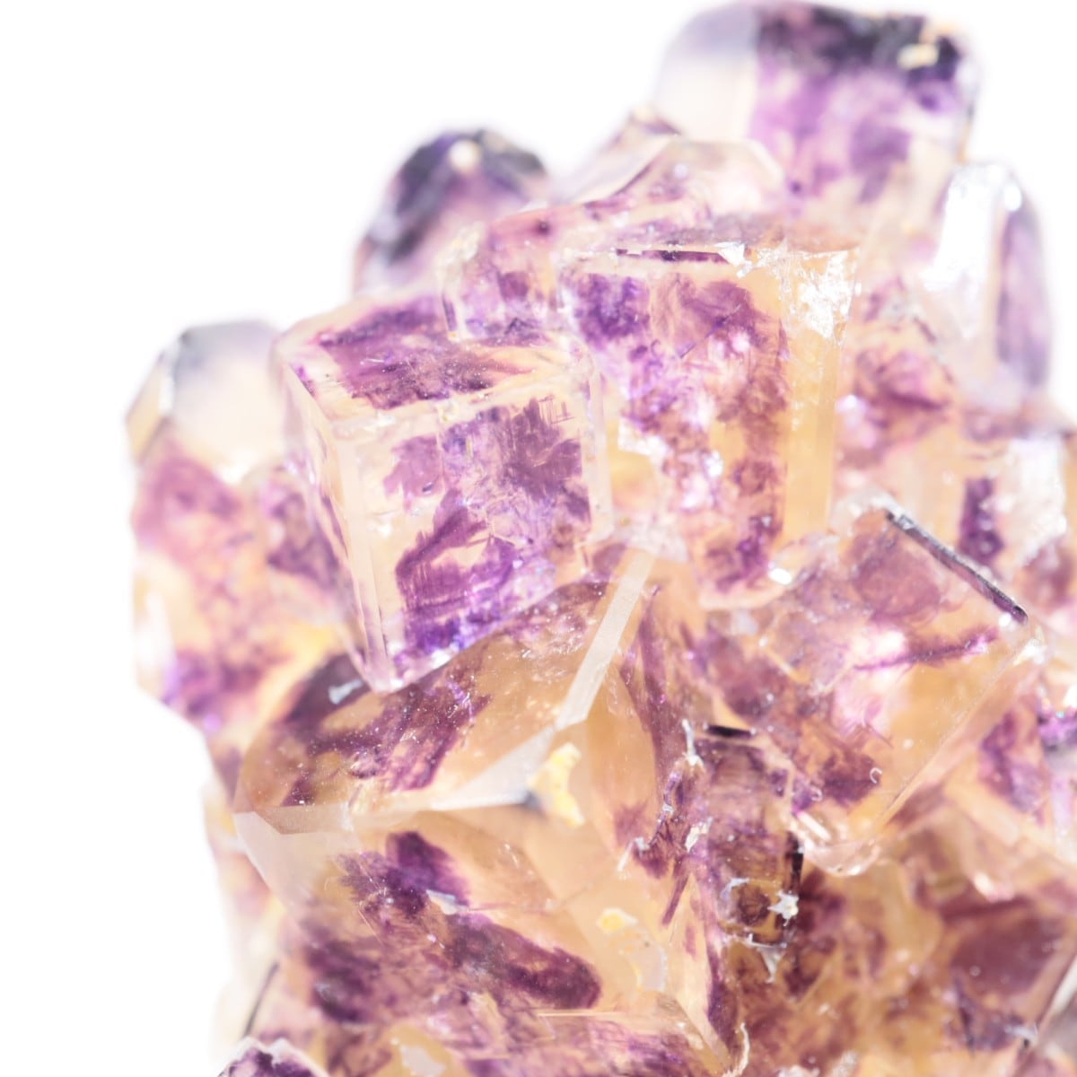 ナミビア Okorusu Mine｜Blue Diamond Pocket産 フローライトの原石 No