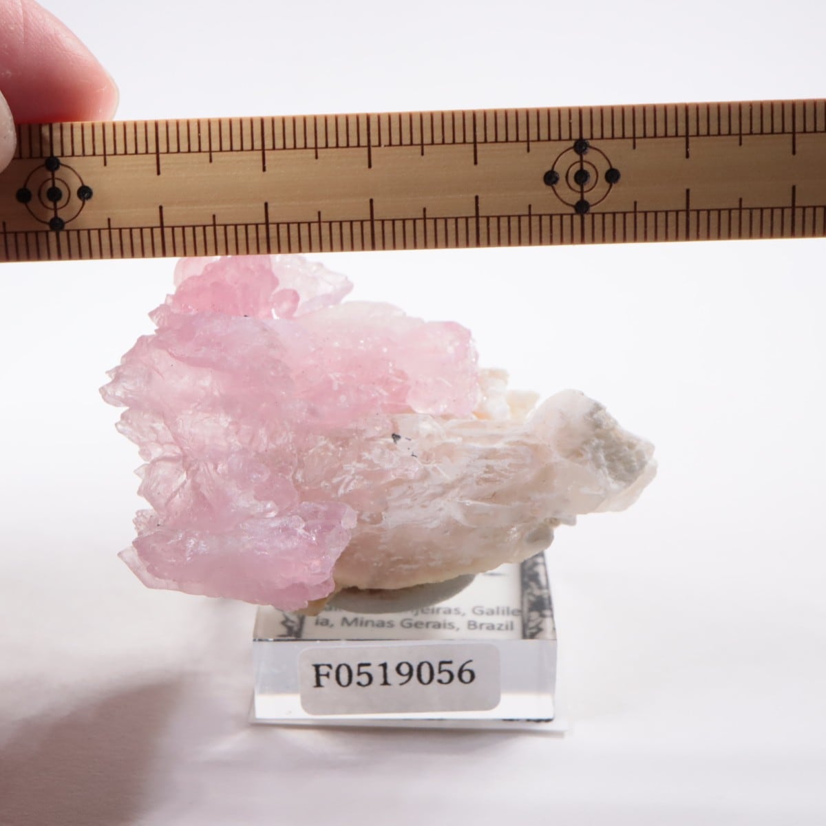 Pitorra claim産 ローズクォーツ | 鉱物標本,カ行,クォーツ/水晶
