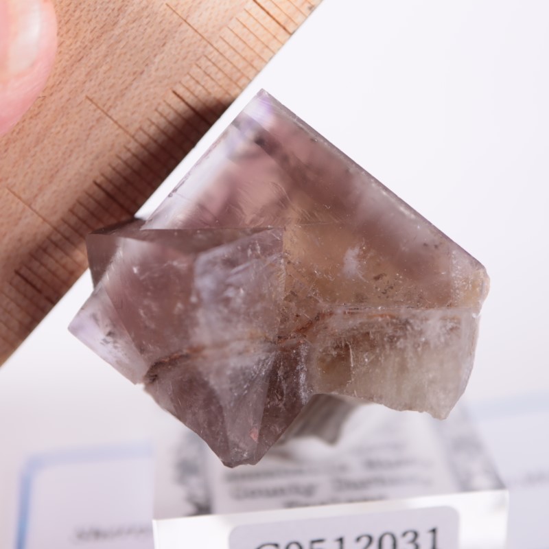 412 イギリス シェリーツインズ フローライト Sherry Twins Pocket