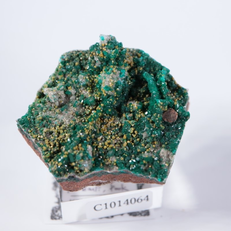 ハイクオリティ ダイオプテーズ クリソコラ 共生 鉱物 標本 原石