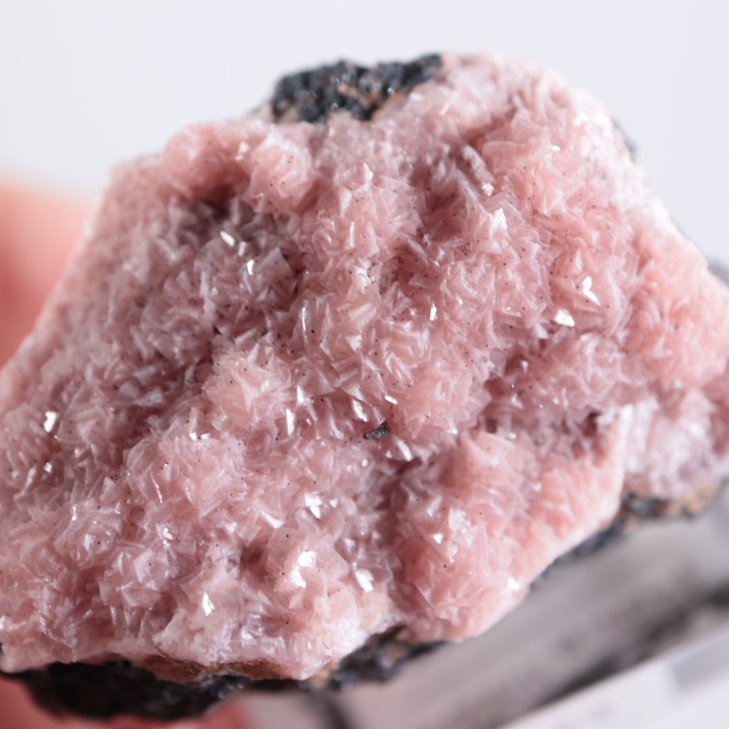 南アフリカ産 ロードクロサイト | 鉱物標本,ラ行,ロードクロサイト/菱