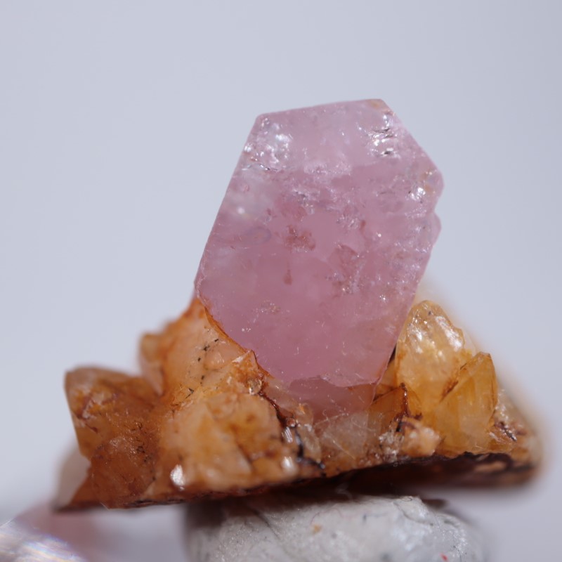 15_000000006656.jpg?1703330751