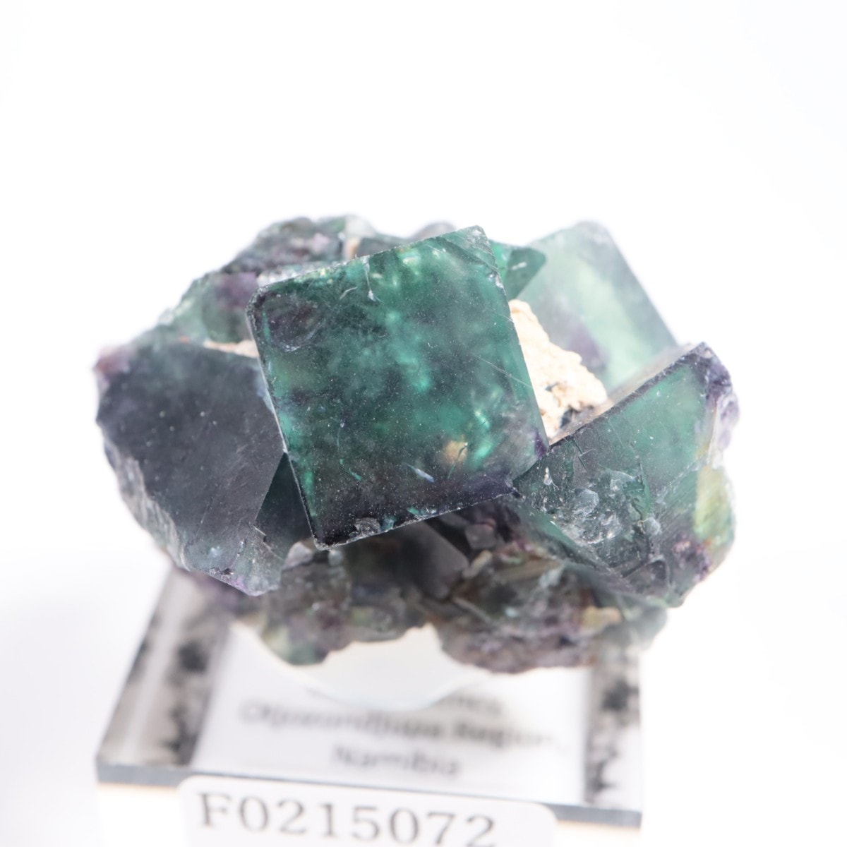 オコルス鉱山産 フローライト | 鉱物標本,ハ行,フローライト/蛍石