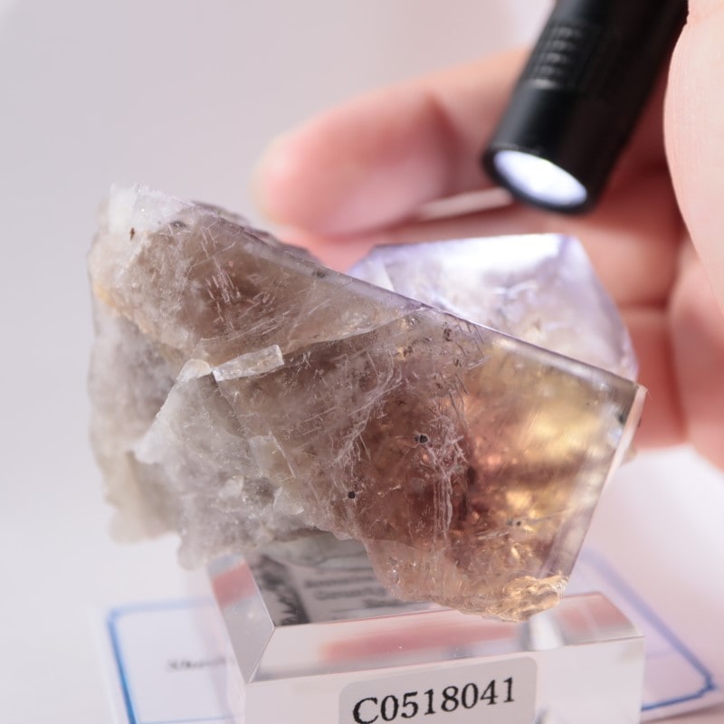 412 イギリス シェリーツインズ フローライト 412 イギリス シェリー