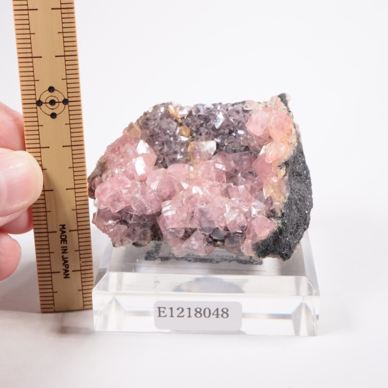 3_000000008761.jpg?1734521303