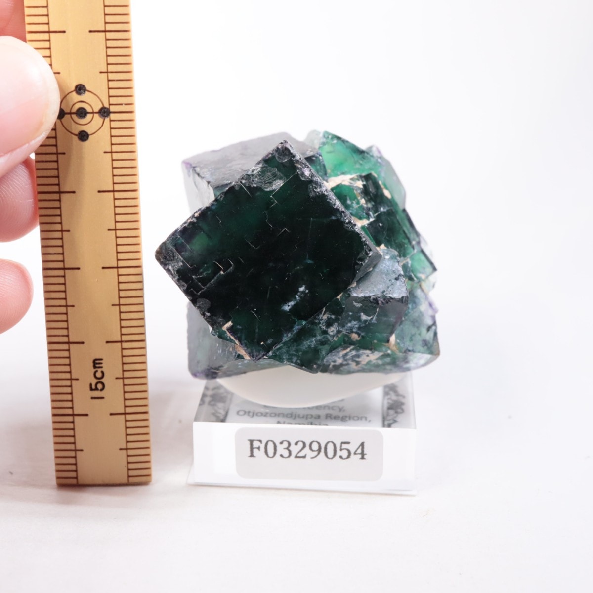 オコルス鉱山産 フローライト | 鉱物標本,ハ行,フローライト/蛍石