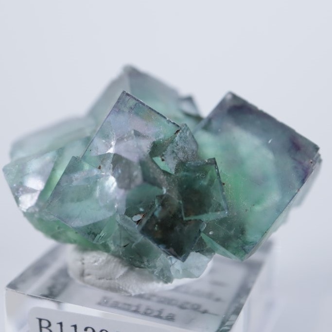 オコルス鉱山産 フローライト | 鉱物標本,ハ行,フローライト/蛍石