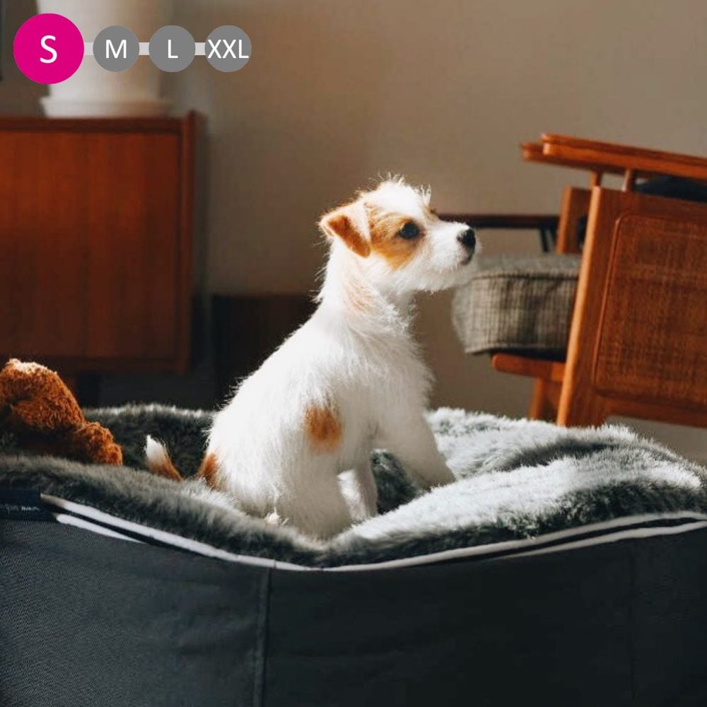 犬ペットラウンジ グレー/ウルフグレー | ギフト・雑貨 | イズミ