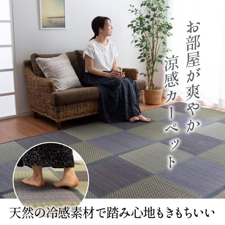 い草ラグ ござ 上敷き DXニューピア 裏貼 江戸間 本間 団地間 2～8畳