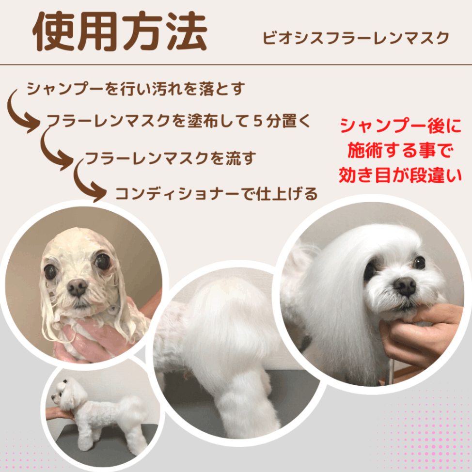 一般購入不可商品) フラーレンマスク3kg | BIOSISｹｱ | INOWEBショップ