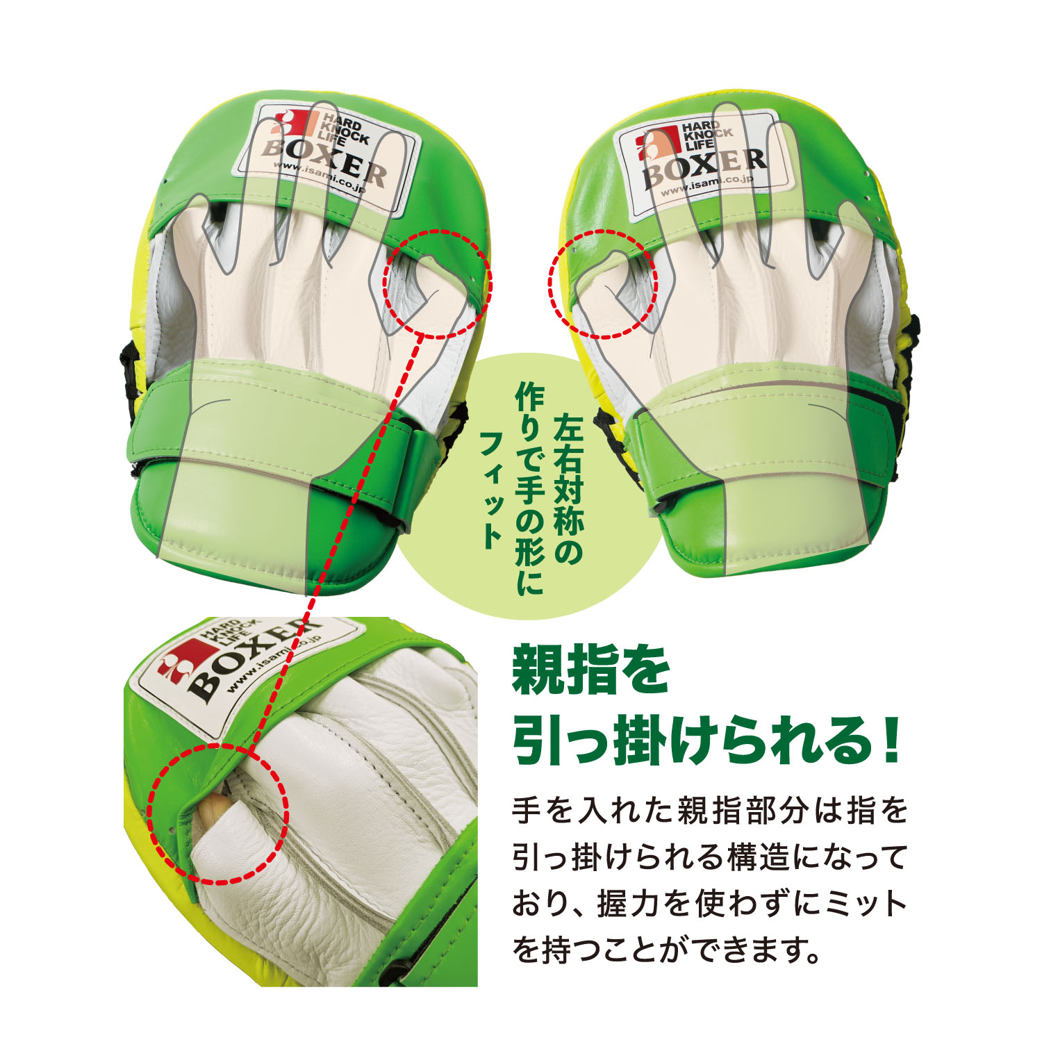 イサミ BOXER HARD KNOCK LIFE パンチングミット イサミ BOXER HARD