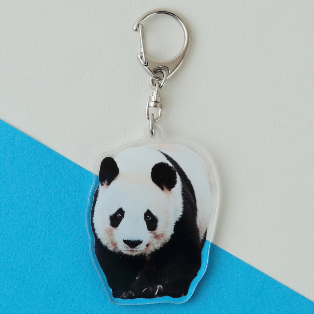 ち*い様 【貴重】王子動物園 パンダタンタン クリアファイル、ポスト