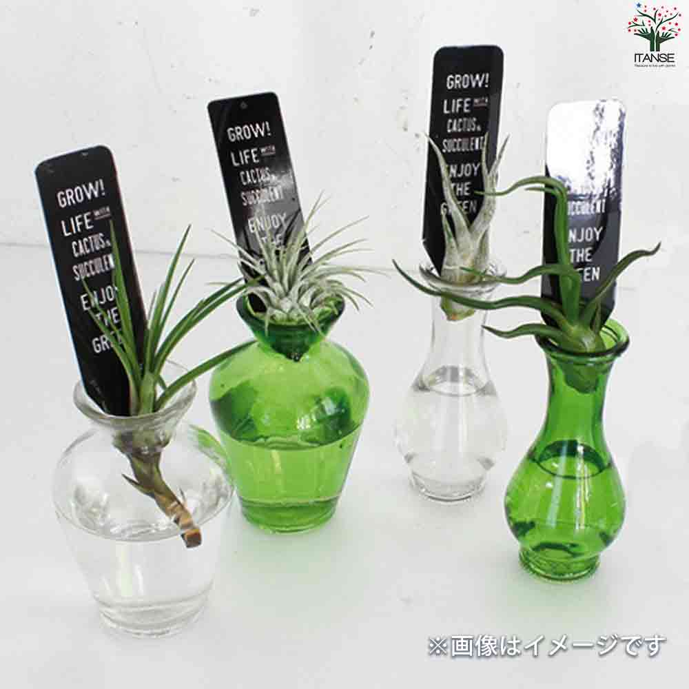 超希少品 】70's STIVER ITALY 大型 花瓶 クリスタル 緑 超希少品