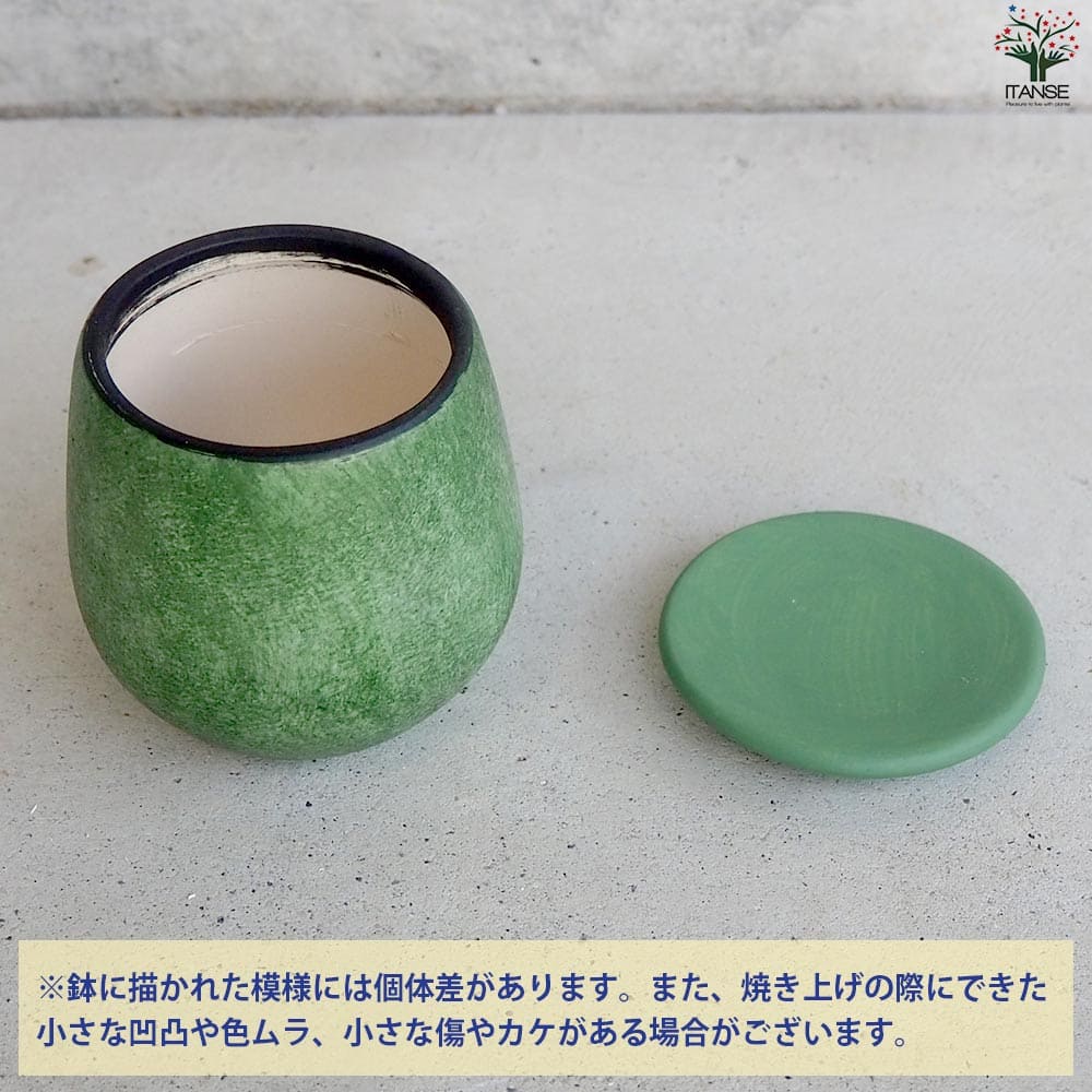 皿付陶器鉢 彩色焼磁 グリーン【資材 8cm】｜ 【植物のITANSE