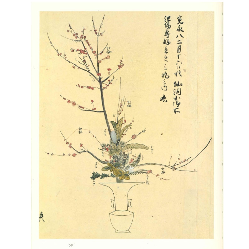 池坊専好立花名作集 | 書籍,事典その他 | フラワーショップ花楽