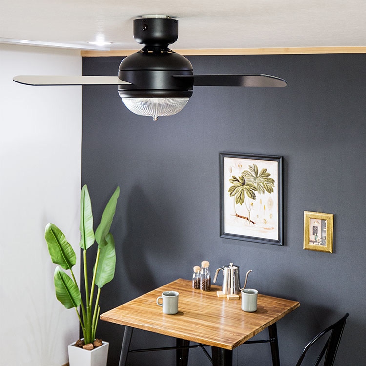 未使用】メーヴェ 人気 リモコン シーリングファンライト MEHVE ‼️羽