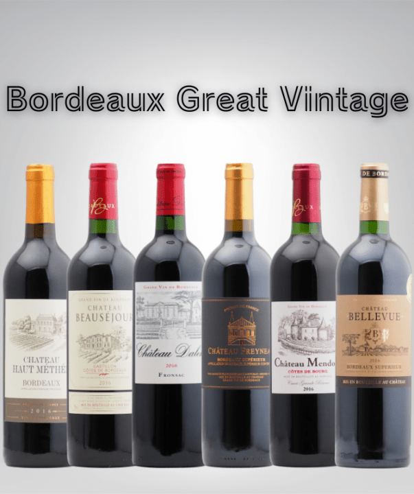 第9弾＞ ボルドー グレートヴィンテージ2016年赤ワイン6本セット(赤6本