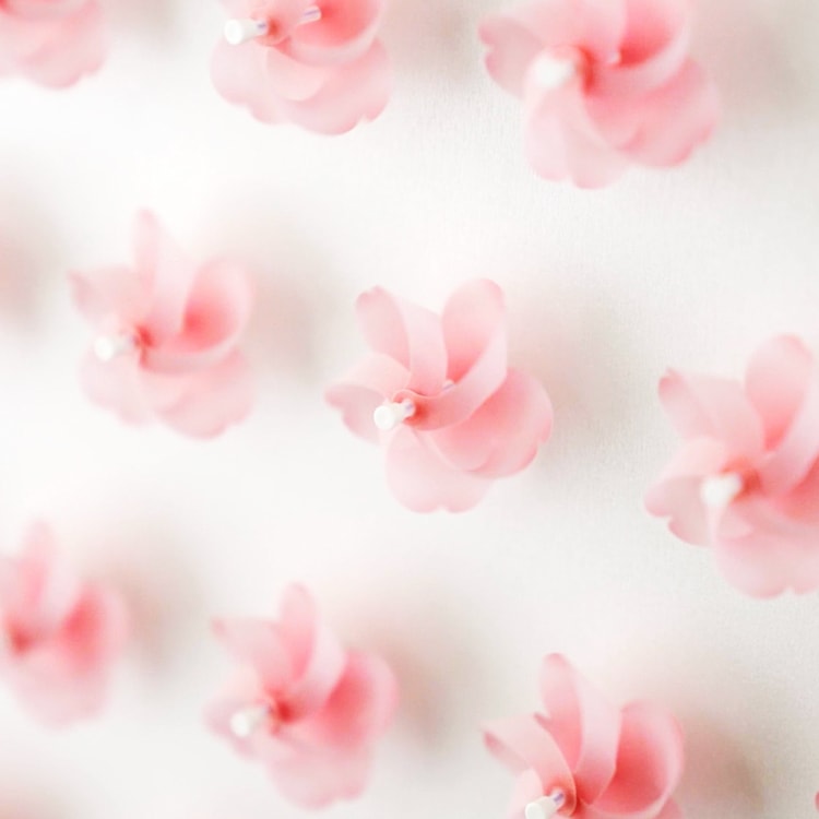 d｜カゼグルマ 桜【3個入り】 | KONCENT Web shop｜アッシュコンセプト