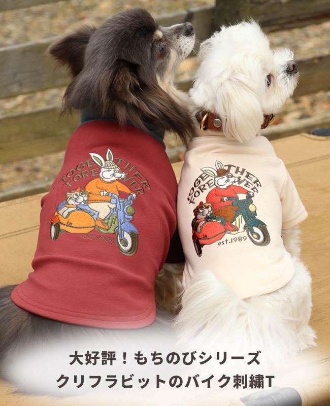 クリフメイヤー[公式] もちのびT(ラビット) DOG D2515605 | DOG ドッグ