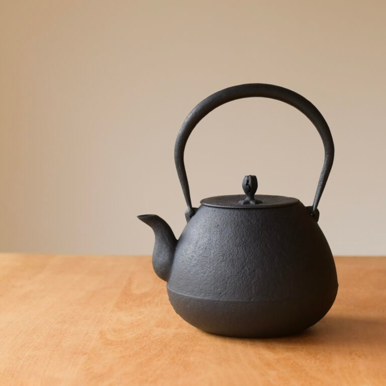 南部鉄器　釜定　鉄瓶（秋の実） 鉄瓶 秋の実 | 釜定 | niguramu