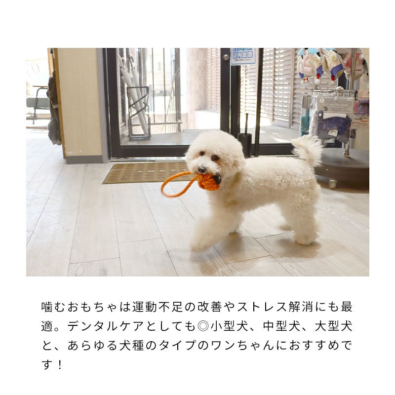 パラコードロープ付きボール | Toys（おもちゃ） | LIFE LIKE 【犬服