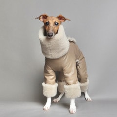 商品ラインナップ | イタグレ服のLunetta