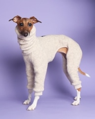 商品ラインナップ,ロンパース | イタグレ服のLunetta