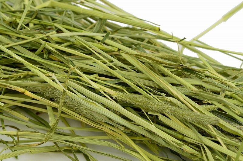 厳選チモシー（US1番刈り）800g | うさぎ専門店ラッキーハート- うさぎ