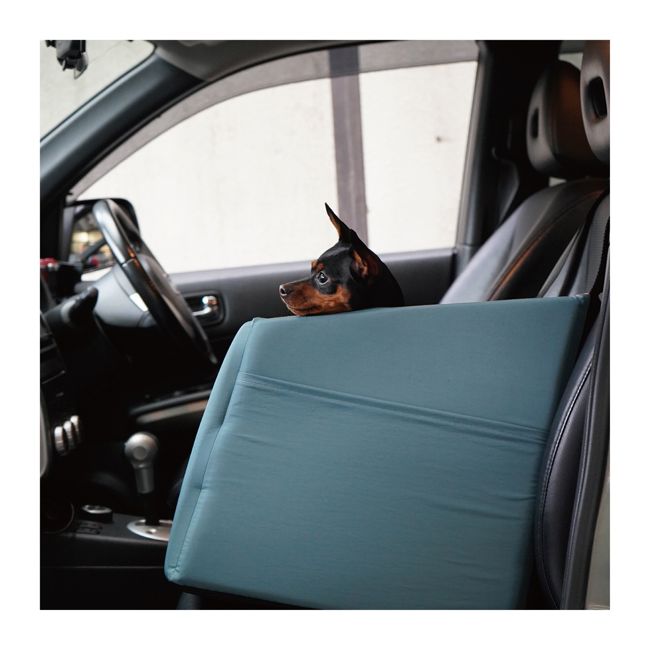 DRIVING CUSHION | DRIVE | 犬服 MANDARINE BROTHERS マンダリン