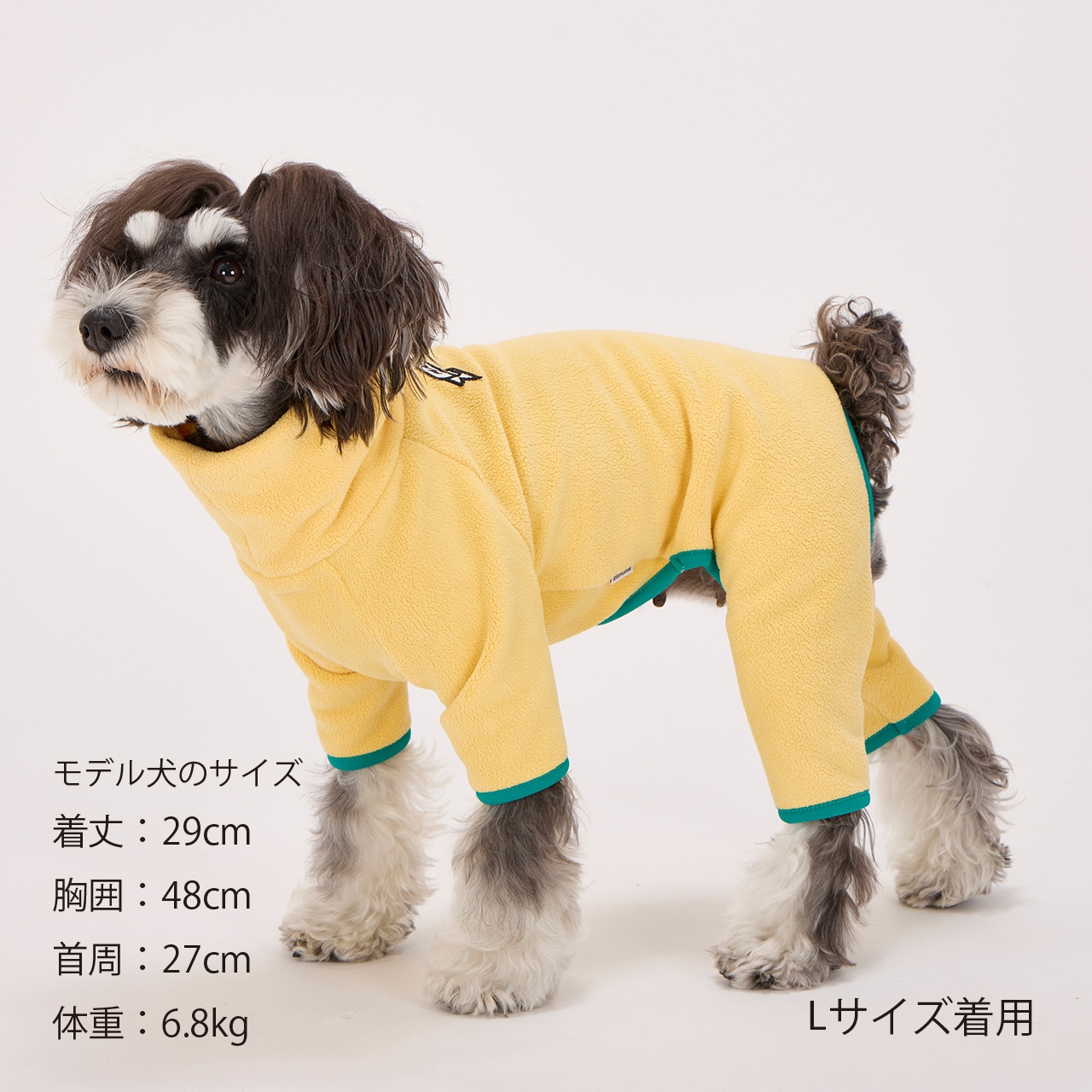 さくらイエローMD①L①フレームロゴボアスーツ FRAME LOGO BOA SUIT