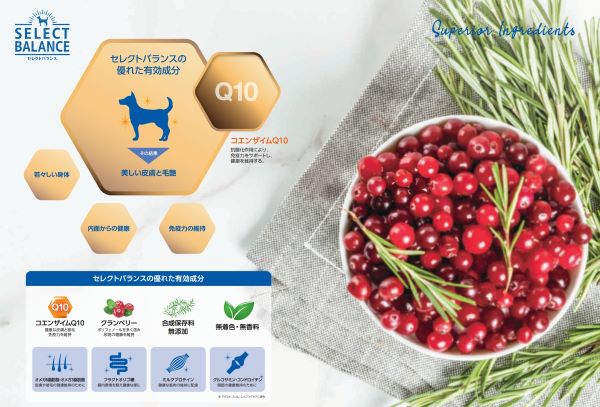 セレクトバランス パピー ラム 小粒 子犬・母犬用 | セレクトバランス